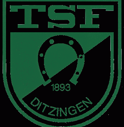 TSF Ditzingen-1198757896.gif