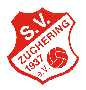 SV Zuchering-1306140141.jpg